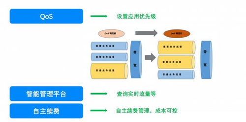 需要一张什么样的办公网络